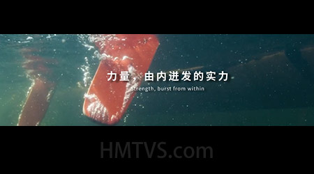 当纳利-一往而无前